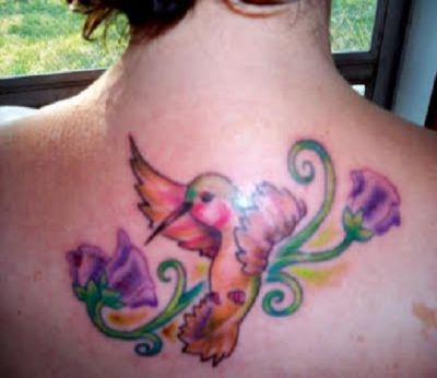 Birds tattoos, Humming Bird tattoos, Tattoos of Birds, Tattoos of Humming Bird, Birds tats, Humming Bird tats, Birds free tattoo designs, Humming Bird free tattoo designs, Birds tattoos picture, Humming Bird tattoos picture, Birds pictures tattoos, Humming Bird pictures tattoos, Birds free tattoos, Humming Bird free tattoos, Birds tattoo, Humming Bird tattoo, Birds tattoos idea, Humming Bird tattoos idea, Birds tattoo ideas, Humming Bird tattoo ideas, hummingbird and flower tattoo on back